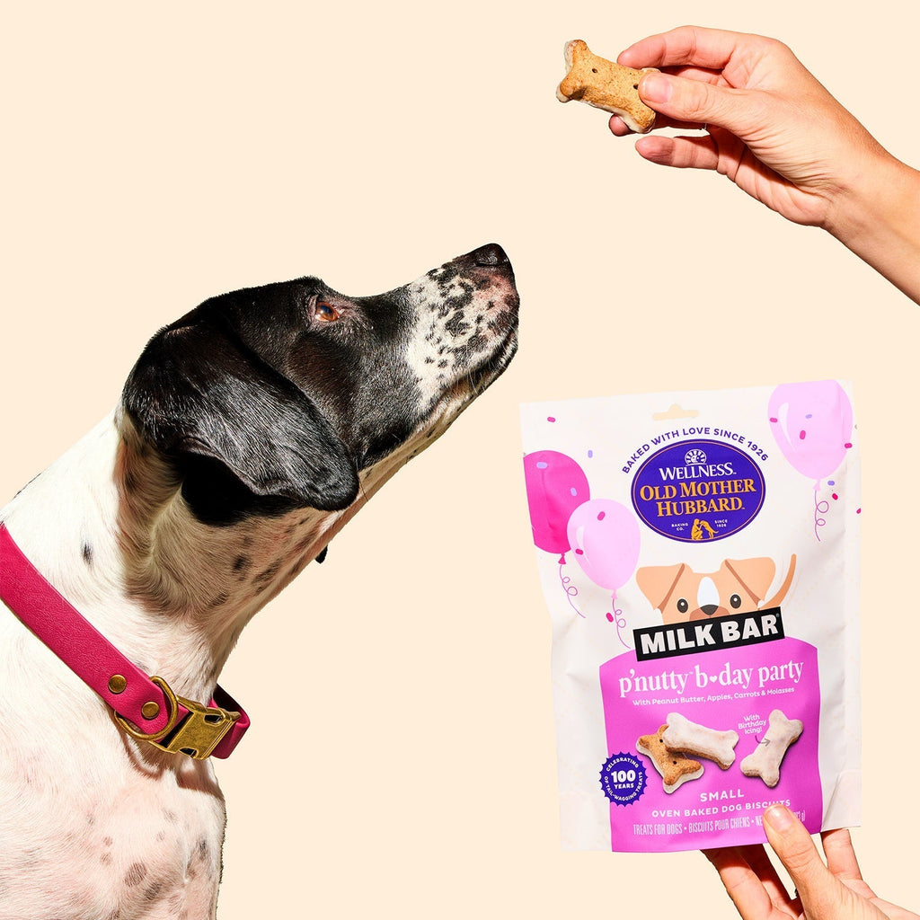P'Nutty B-Day Party Biscuits Dog Treats - 3 Pack