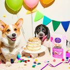 P'Nutty B-Day Party Biscuits Dog Treats - 3 Pack