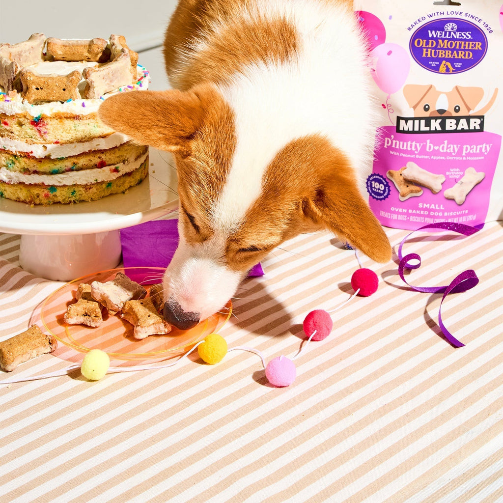 P'Nutty B-Day Party Biscuits Dog Treats - 3 Pack