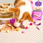 P'Nutty B-Day Party Biscuits Dog Treats - 3 Pack